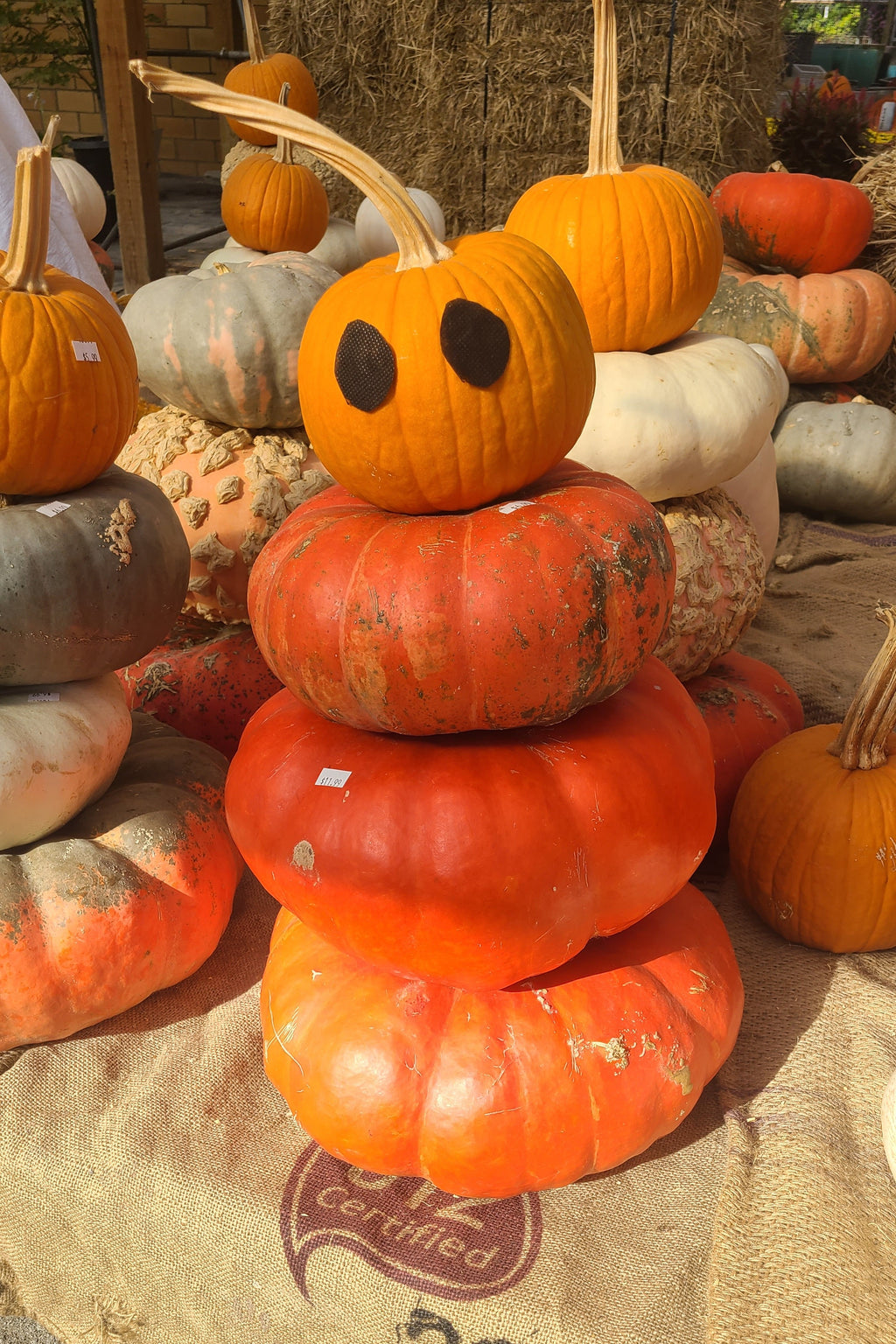 Pumpkin Stacks