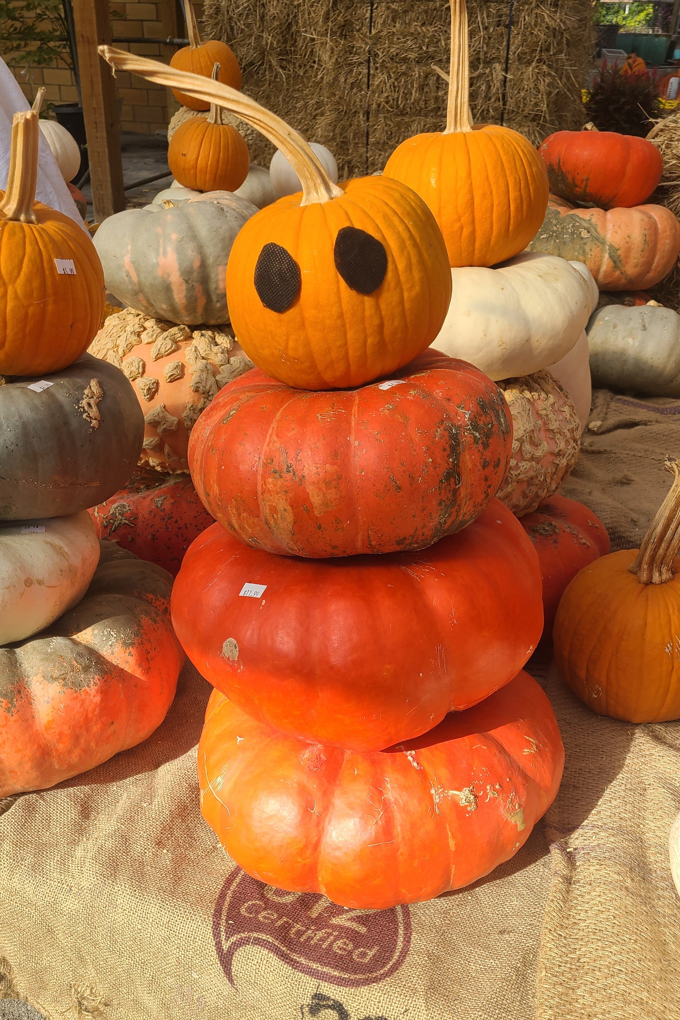 Pumpkin Stacks