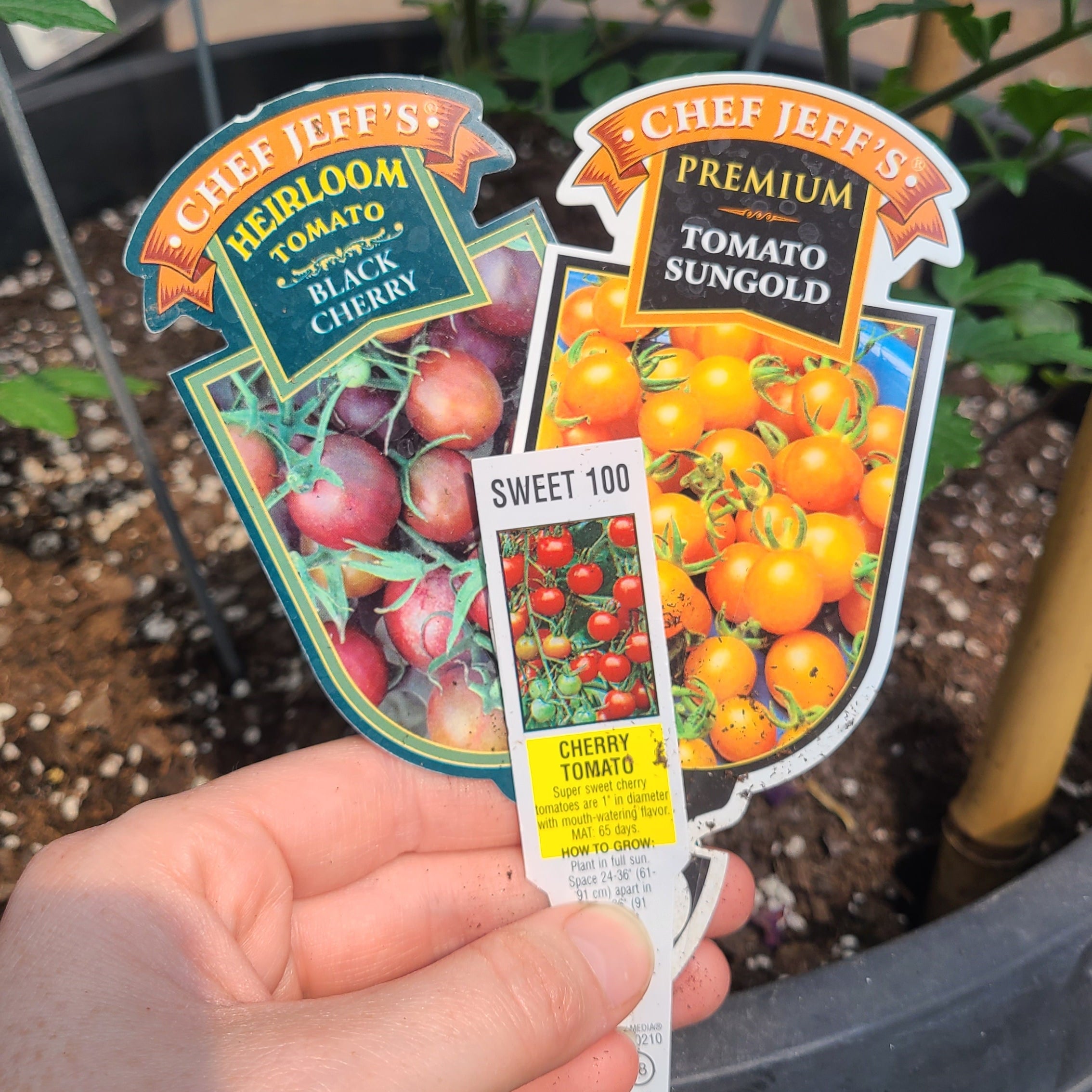 John's Trifecta of Tomatoes Pot