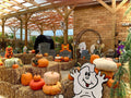 Straw Bales