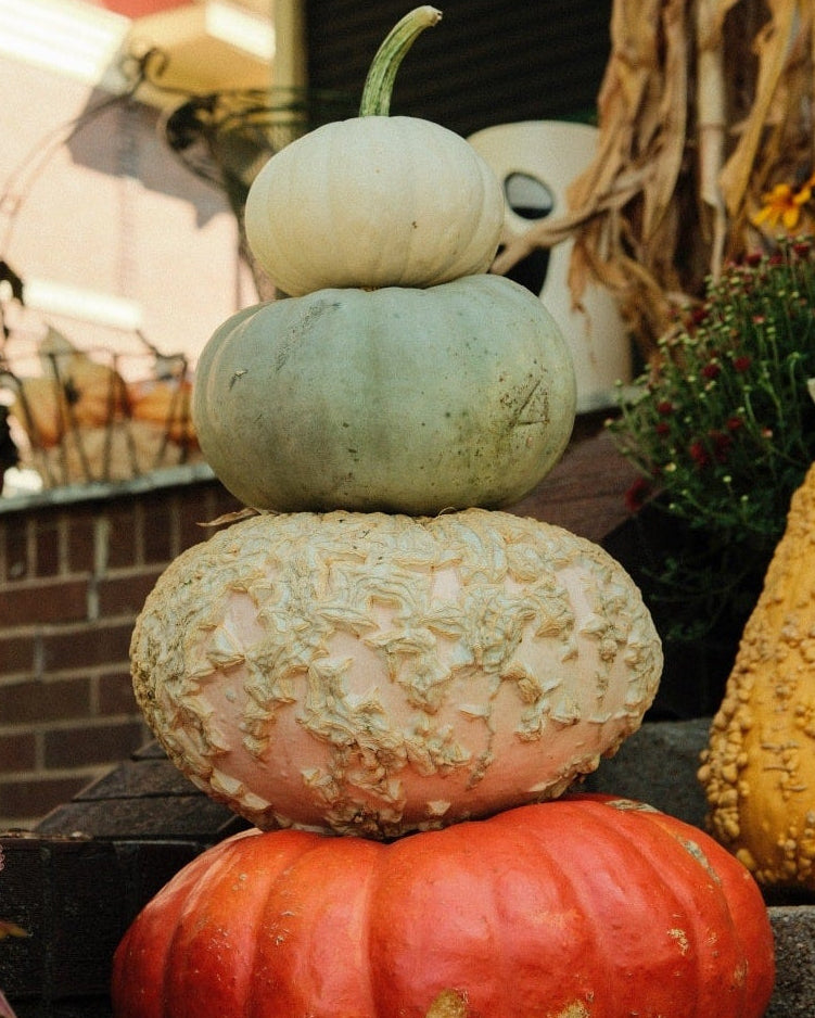 Pumpkin Stacks
