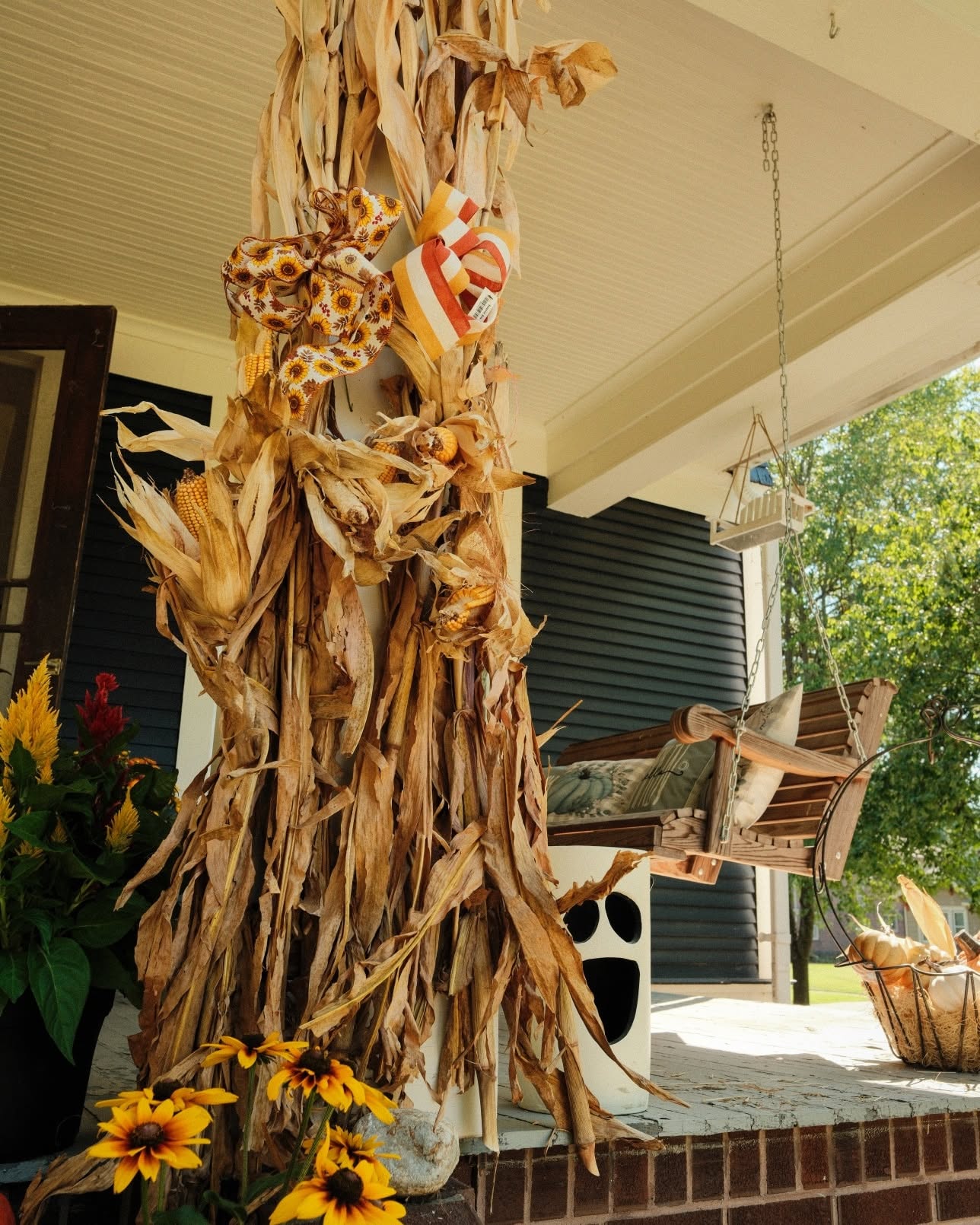 Corn Stalks
