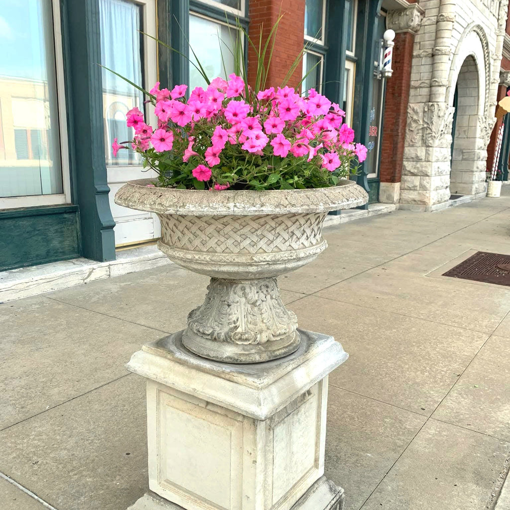 Supertunia Vista® Bubblegum® Petunia