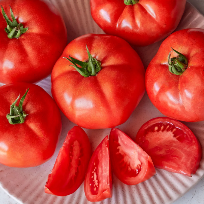 Grandma Harrison's Early Bird Tomato