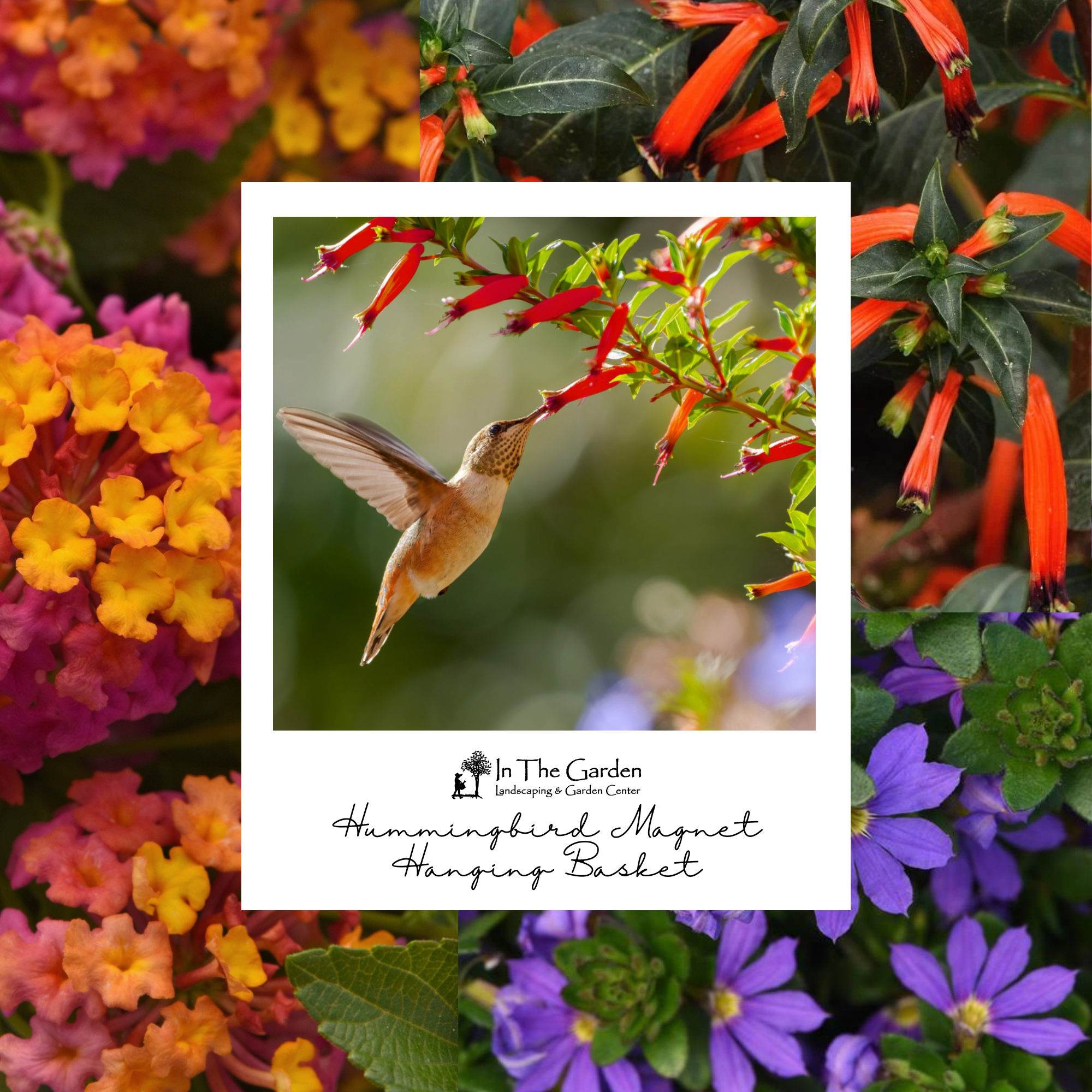 Hummingbird Magnet Basket