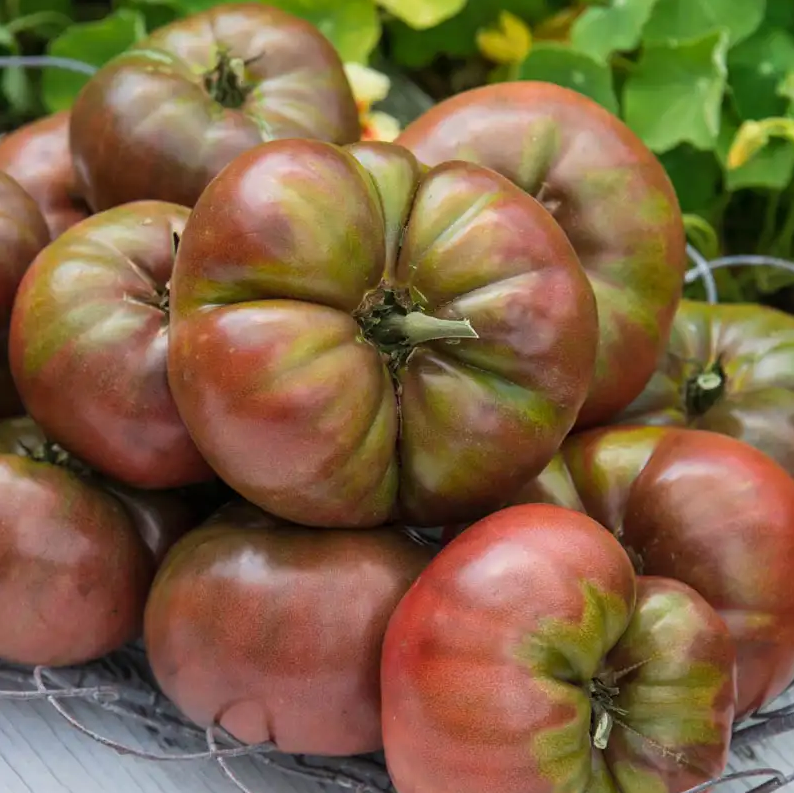 John's Improved Cherokee Purple Tomato