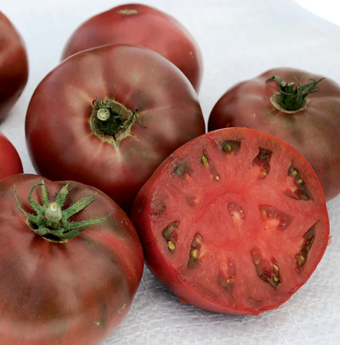 John's Improved Cherokee Purple Tomato