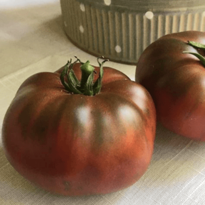 John's Improved Cherokee Purple Tomato