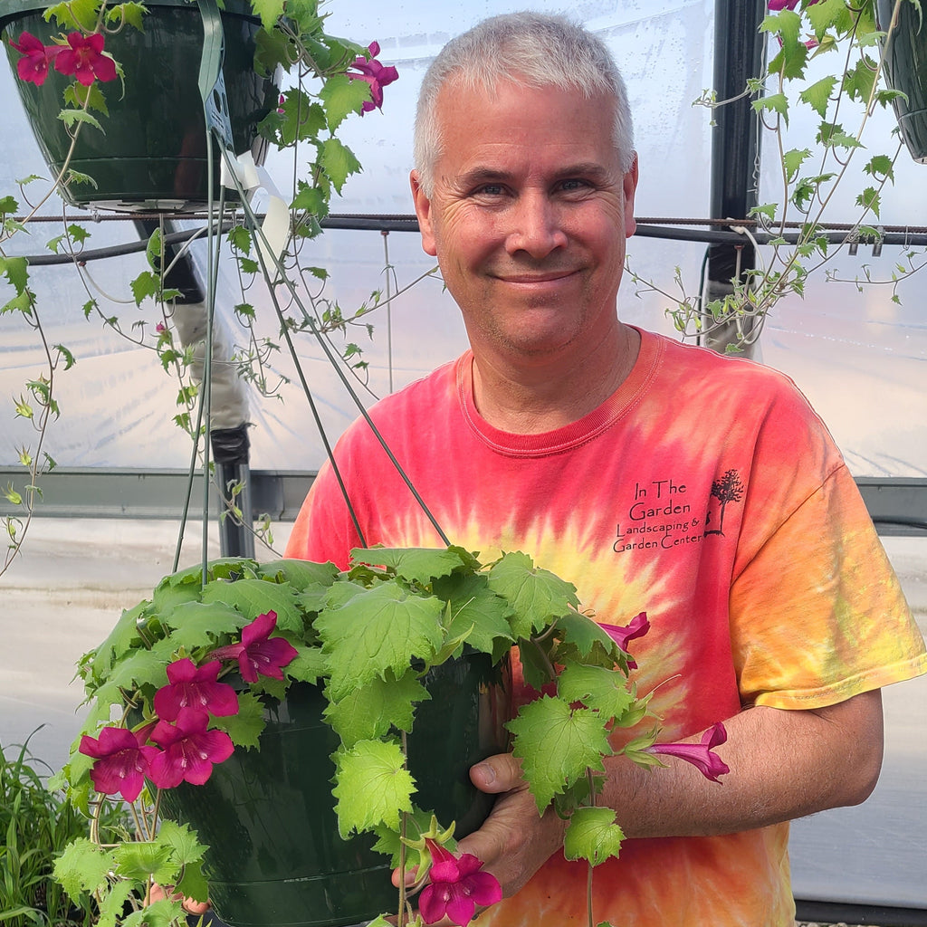 Lofos Wine Red Basket