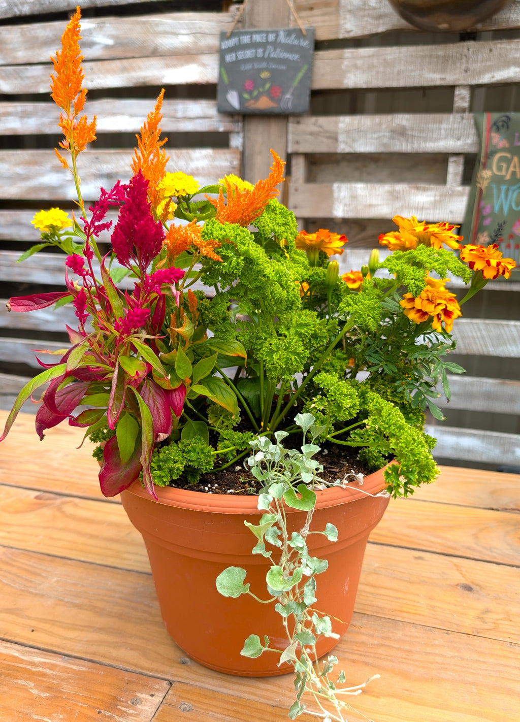 Pollinator Pot