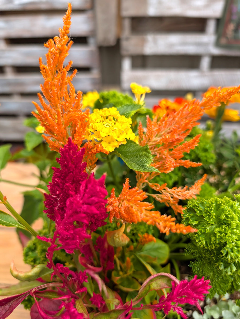 Pollinator Pot