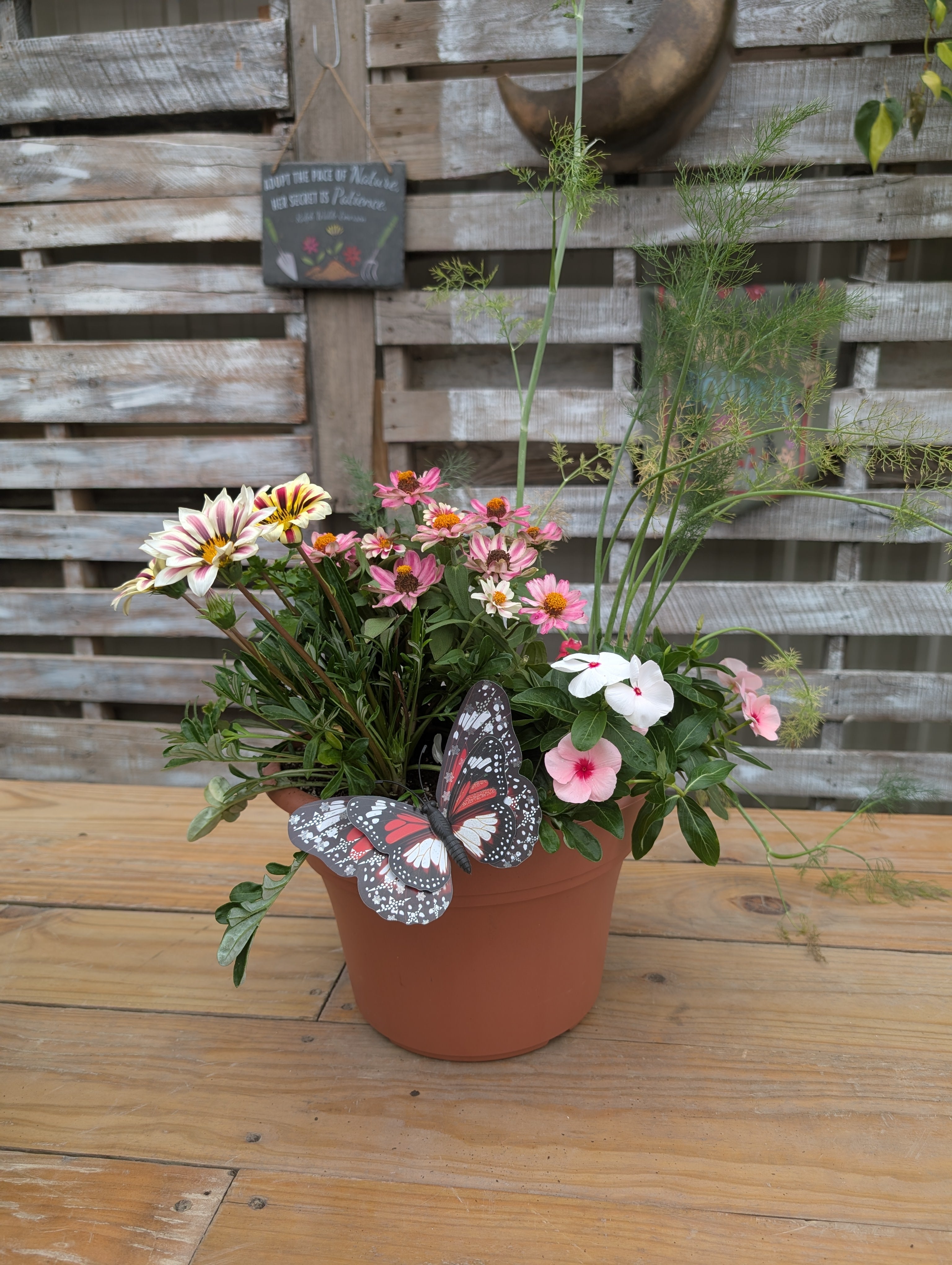 Build Your Own Pollinator Pot Workshop