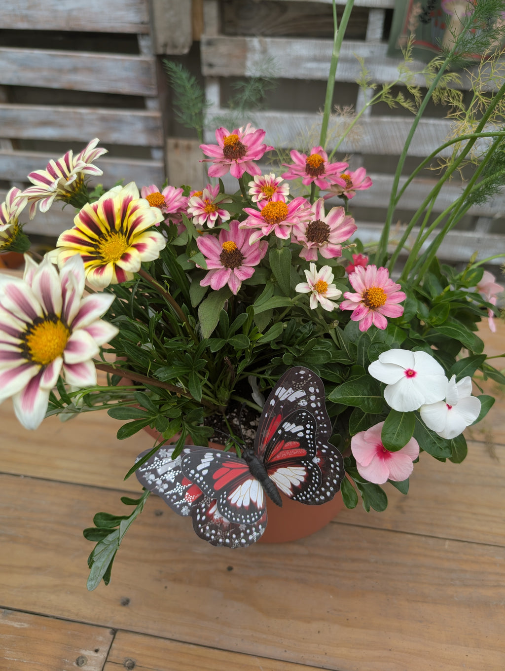 Build Your Own Pollinator Pot Workshop