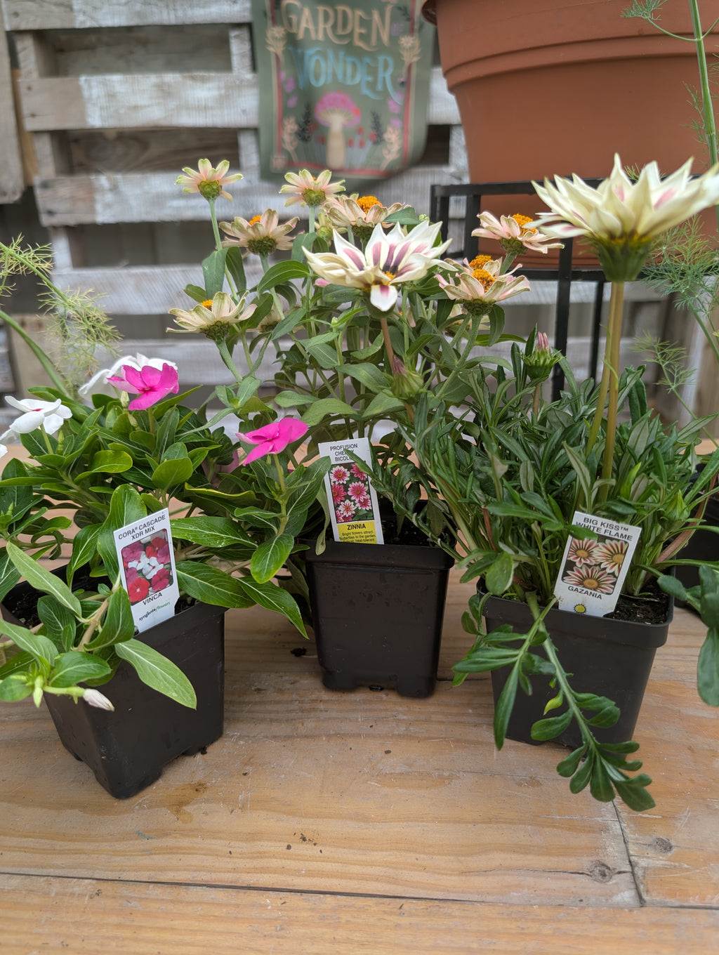 Build Your Own Pollinator Pot Workshop