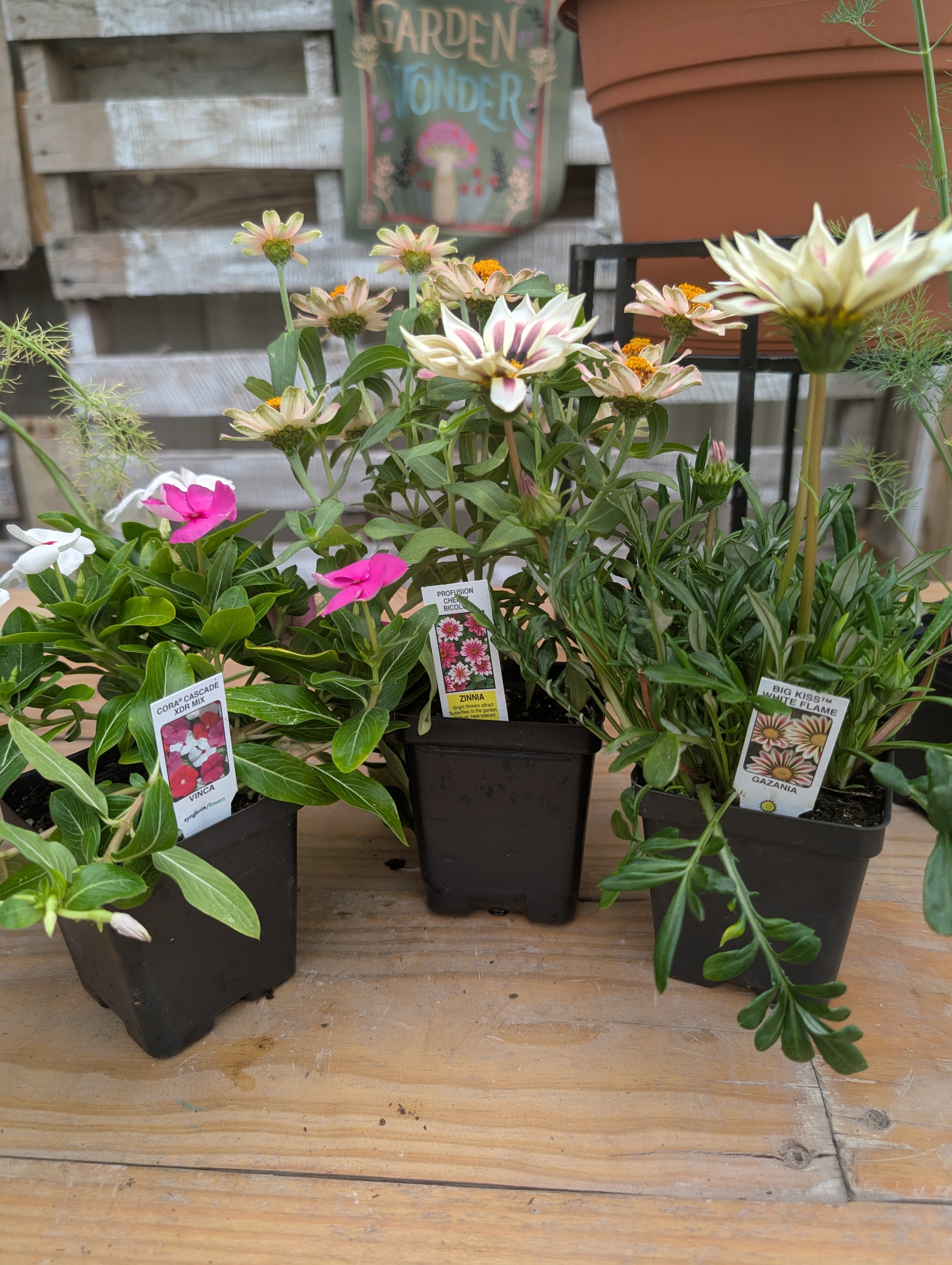 Build Your Own Pollinator Pot Workshop