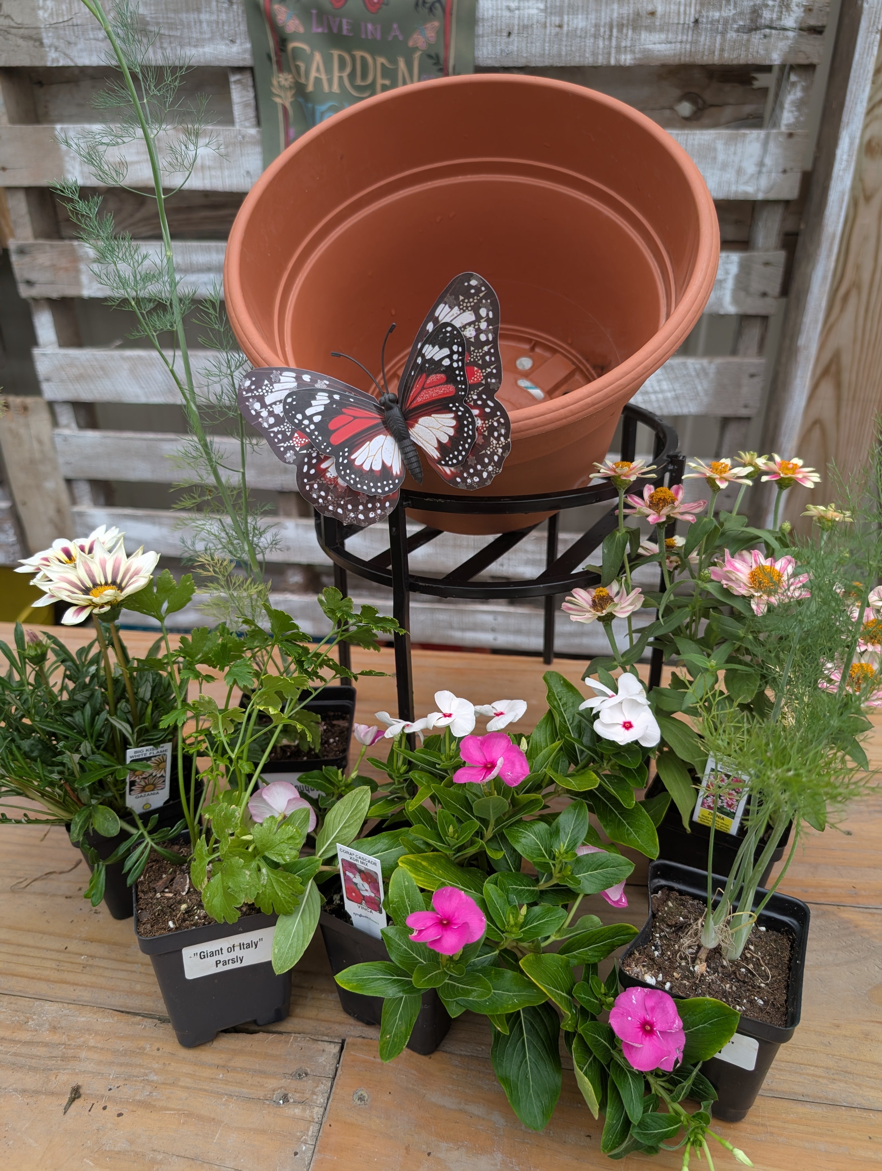 Build Your Own Pollinator Pot Workshop
