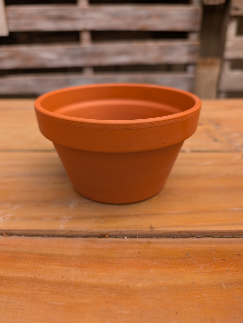 Build Your Own Succulent/Cacti Container Workshop