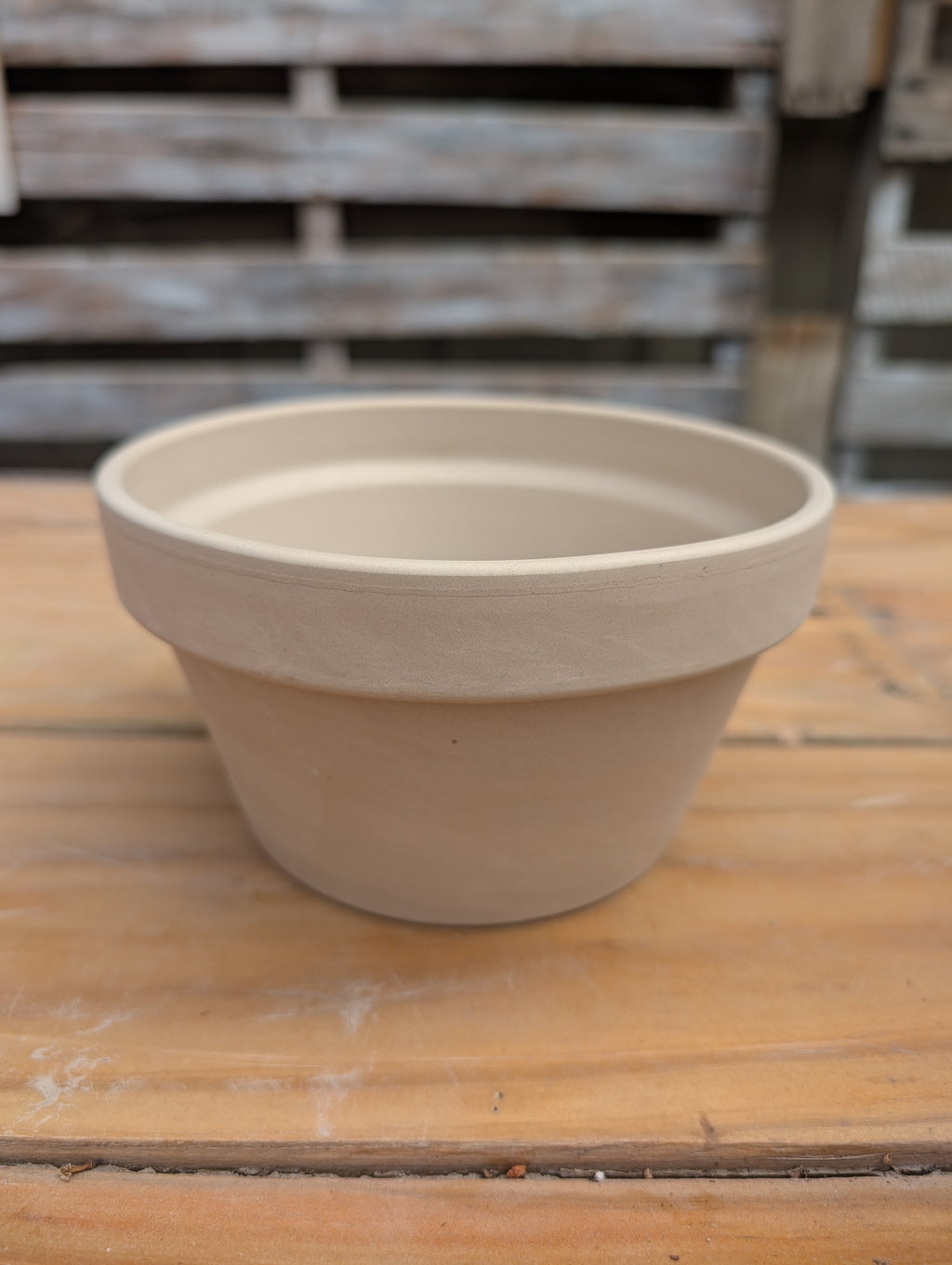 Build Your Own Succulent/Cacti Container Workshop