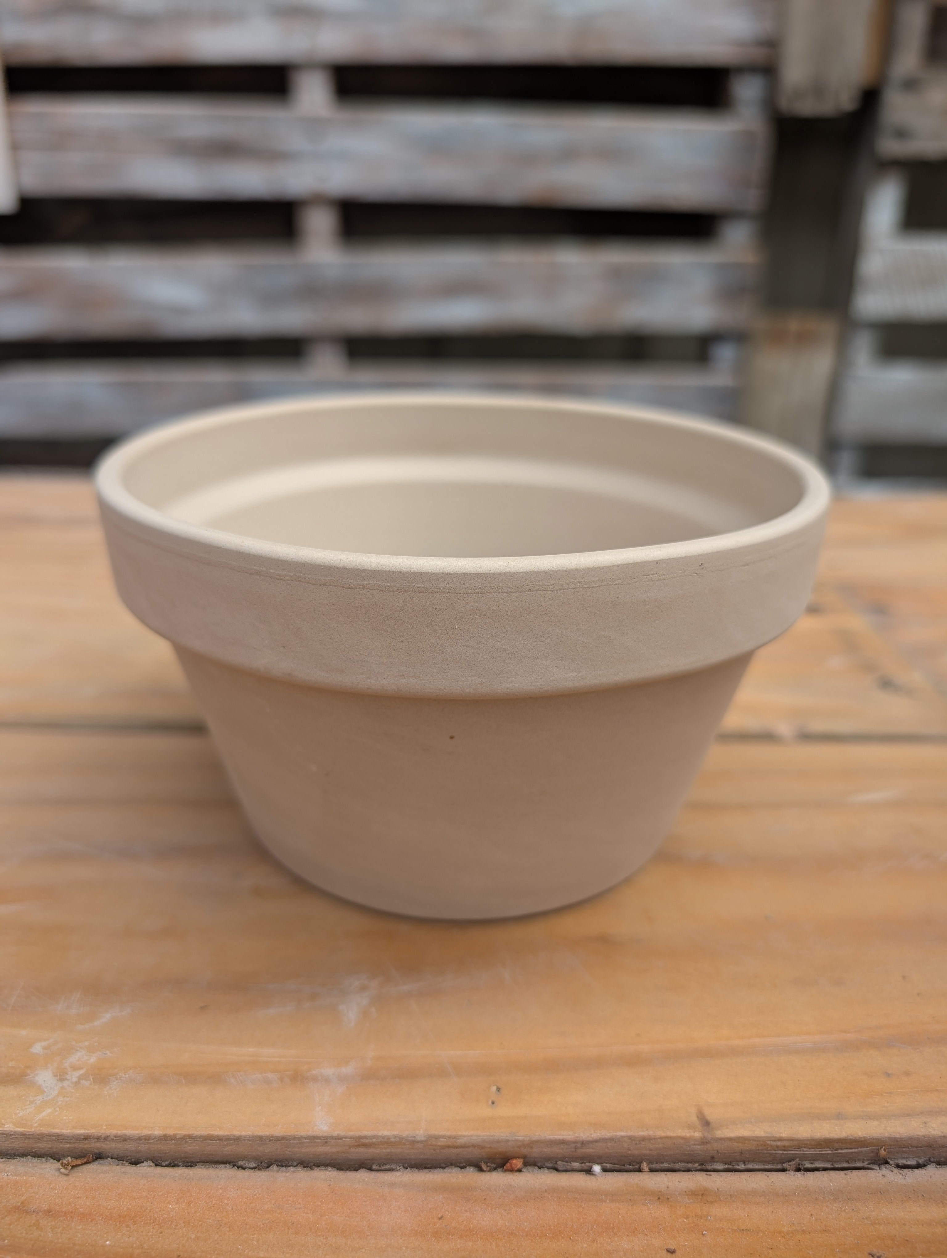 Build Your Own Succulent/Cacti Container Workshop