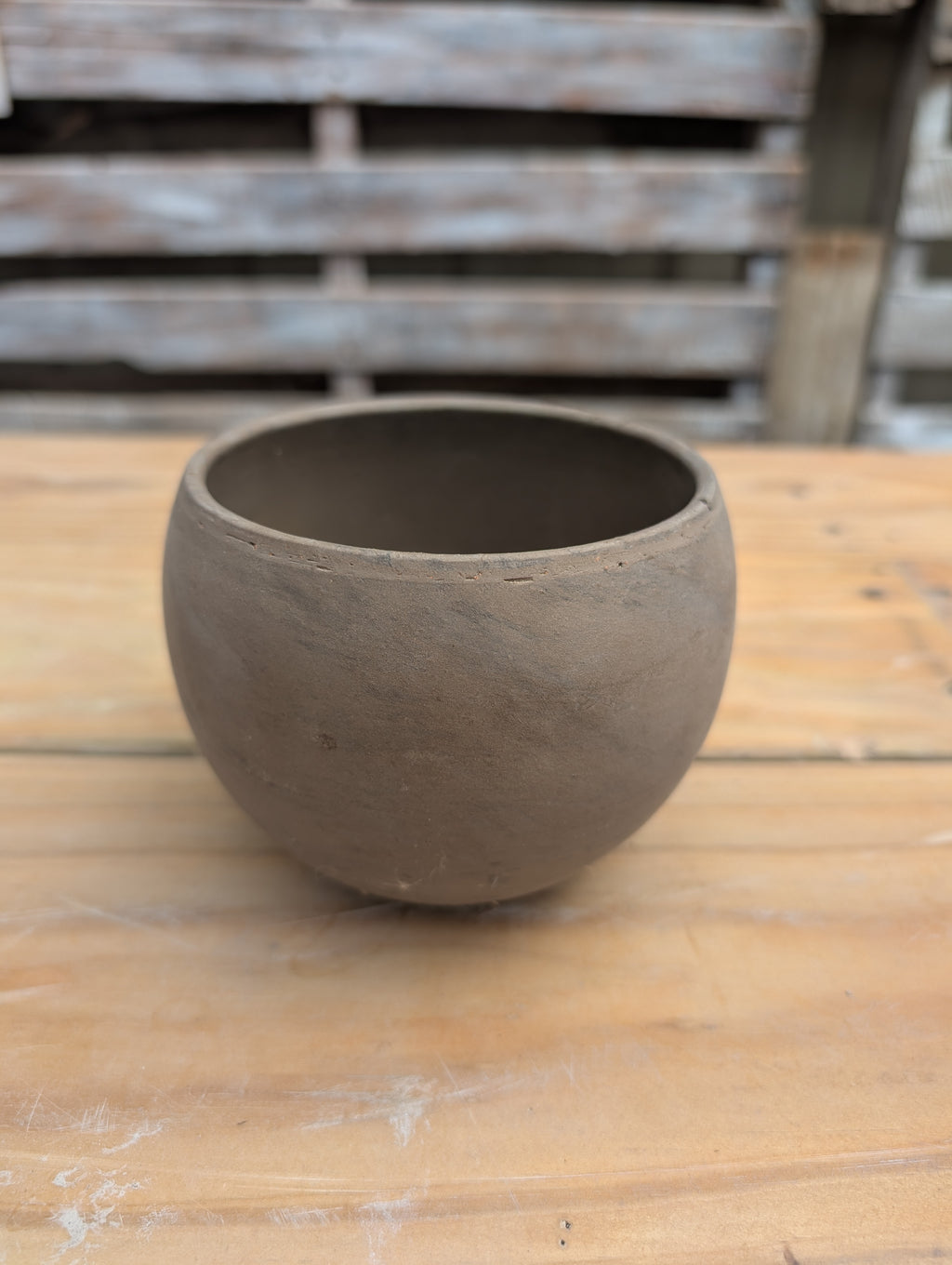 Build Your Own Succulent/Cacti Container Workshop