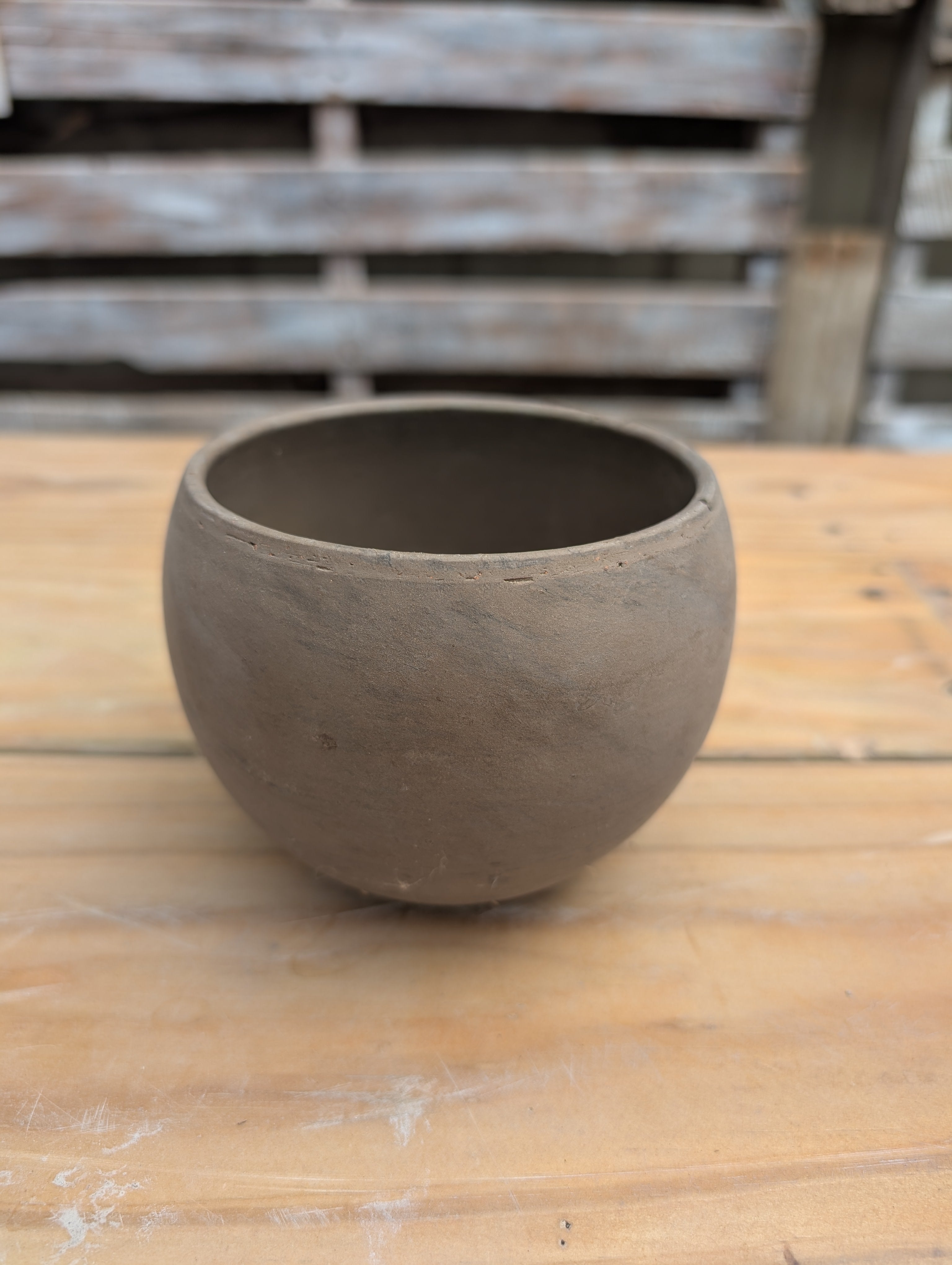 Build Your Own Succulent/Cacti Container Workshop