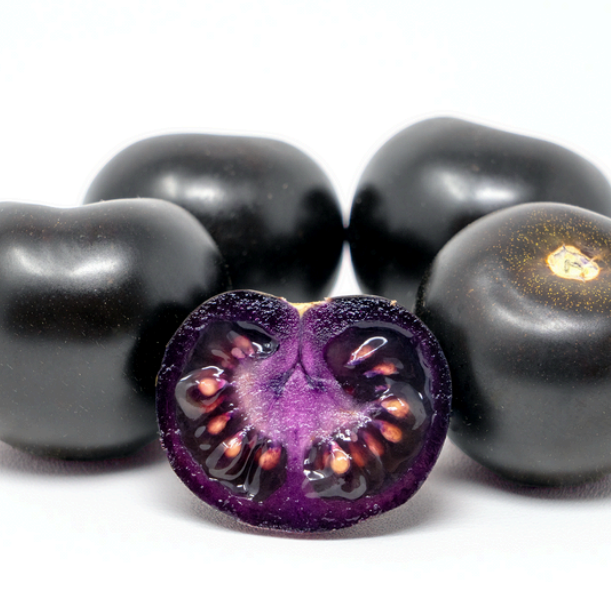 Empress Purple Tomato
