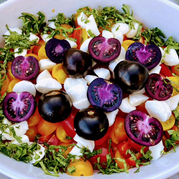 Empress Purple Tomato