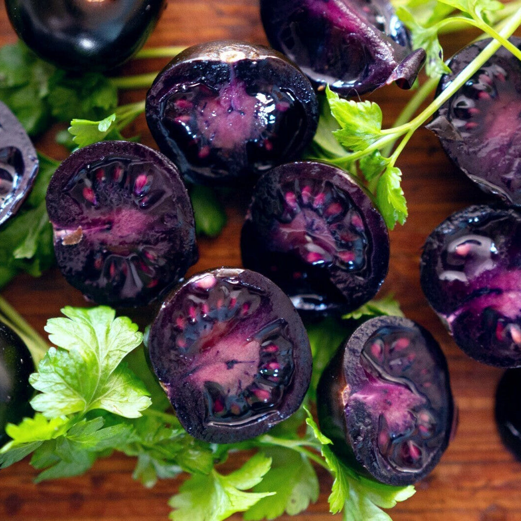 Empress Purple Tomato