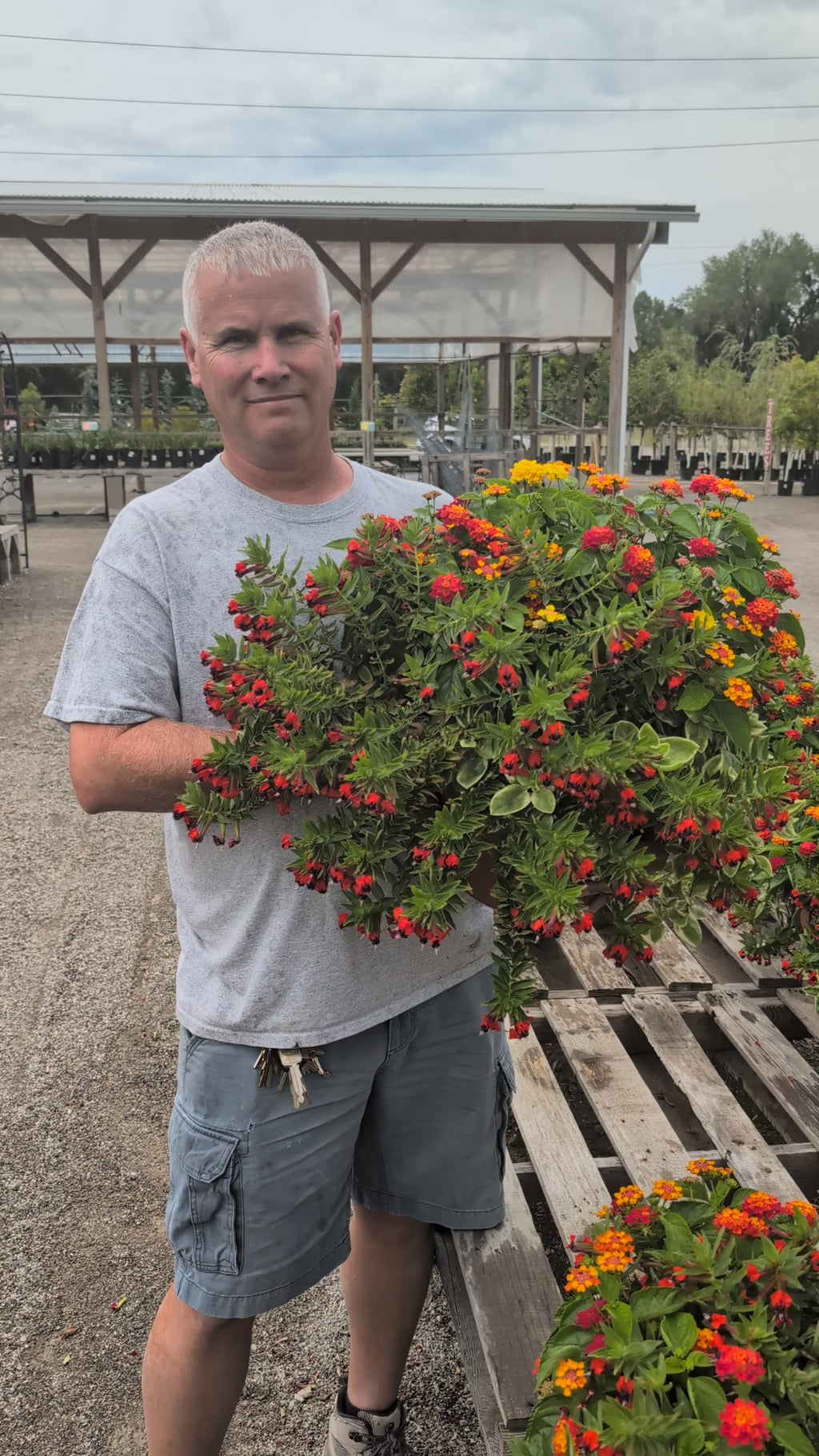 Hummingbird Porch Pot