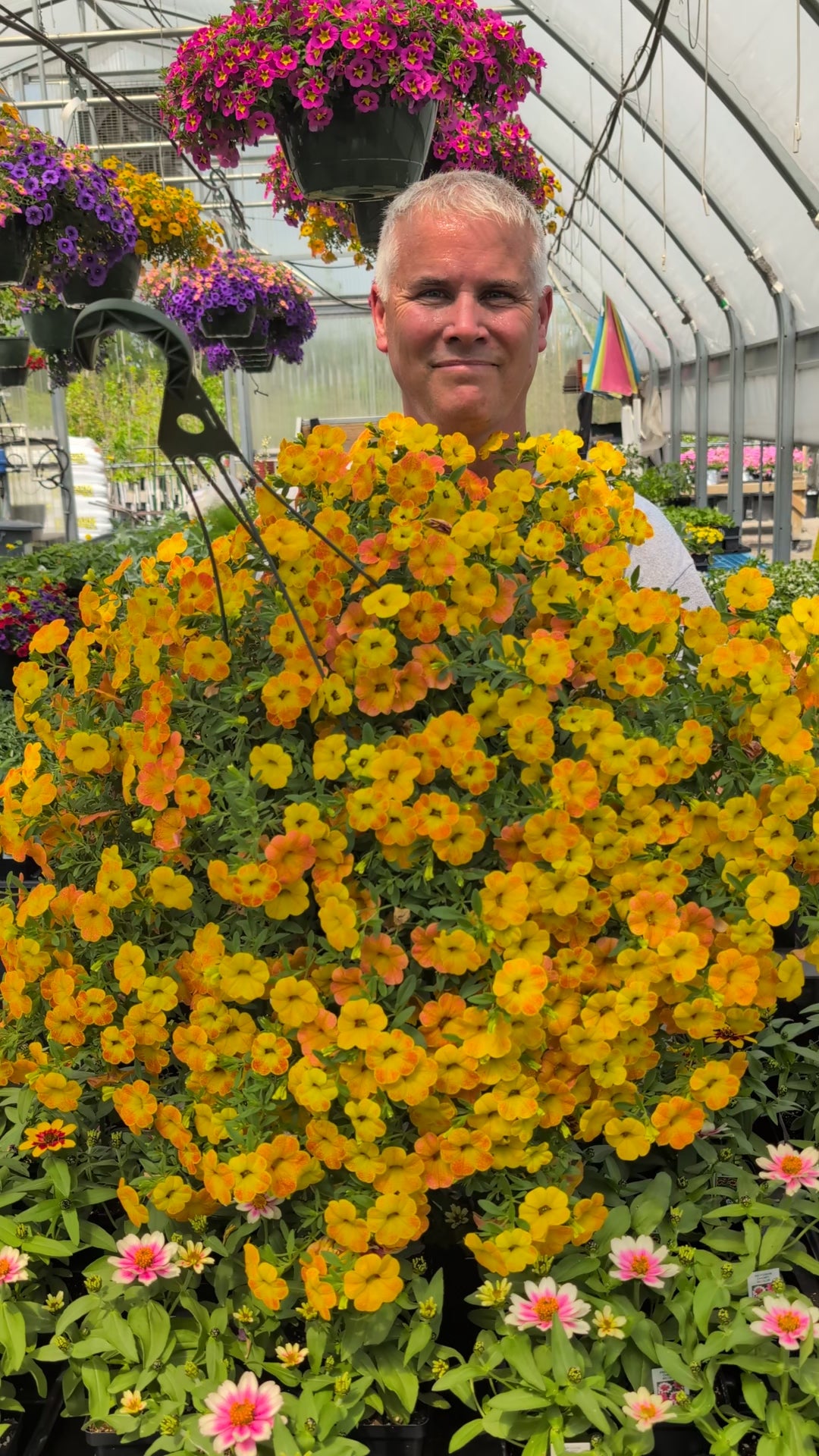 Diva Orange Mother's Day Hanging Basket