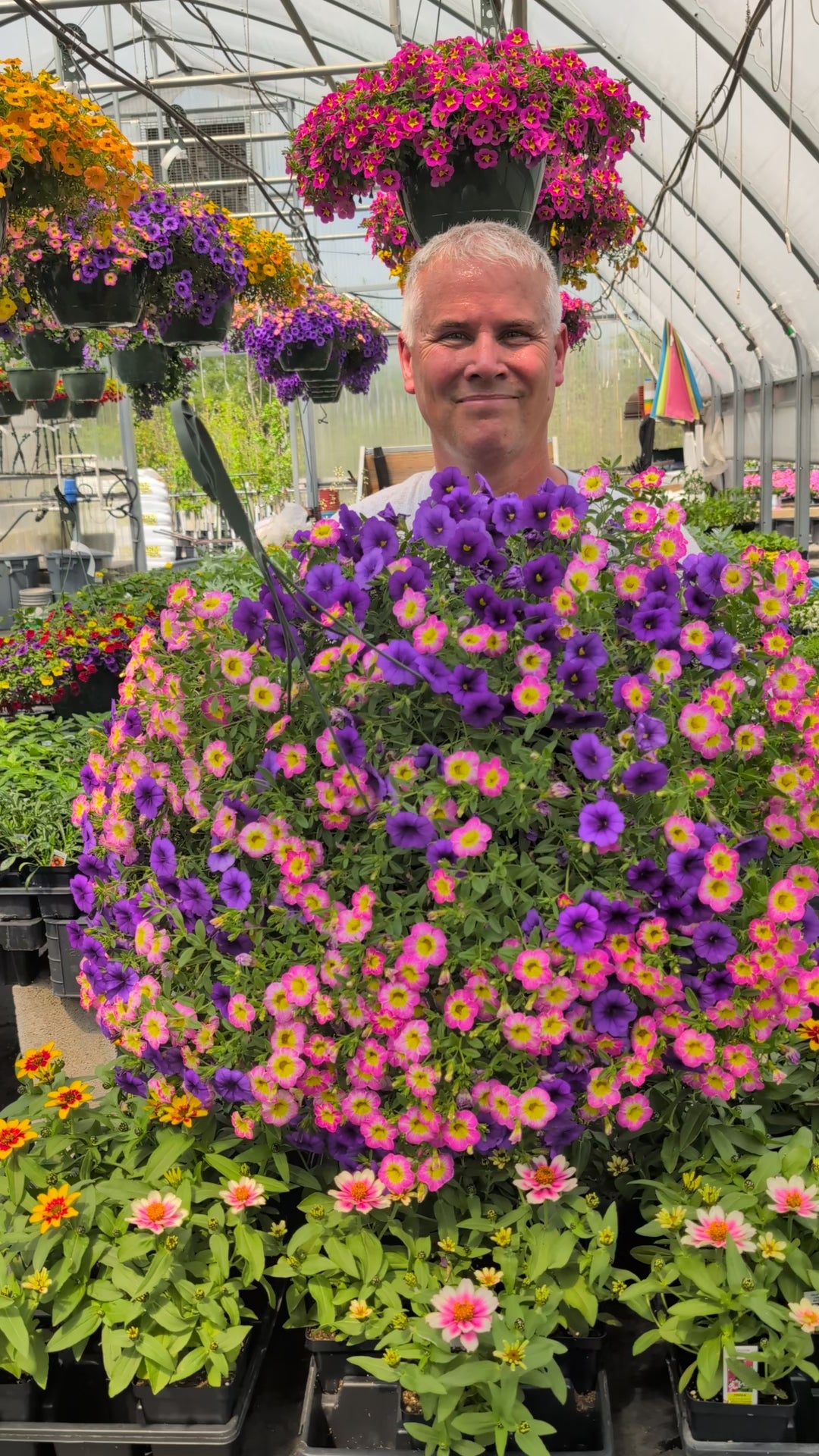 Purple Pop Mother's Day Hanging Basket